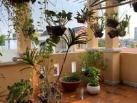 Bán nhà Nam Kì Khởi Nghĩa, 60m2 xe hơi 6.5 tỷ, Quận 3. Bán nhà Nam Kì Khởi Nghĩa, 60m2 xe hơi 6.5 tỷ, Quận 3.