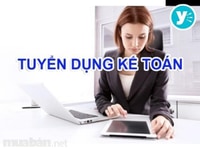 Hệ thống siêu thị mini mới mở cần nhân viên thu ngân đứng tính tiền Hệ thống siêu thị mini mới mở cần nhân viên thu ngân đứng tính tiền