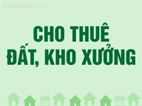 Cho thuê nhà xưởng đường Lê Văn Quới . Cho thuê nhà xưởng đường Lê Văn Quới .
