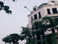 Chính chủ bán đất dự án Trâu Quỳ 31ha mặt đường 13,5m giá chỉ 43tr/m2 Chính chủ bán đất dự án Trâu Quỳ 31ha mặt đường 13,5m giá chỉ 43tr/m2