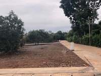 Bán đất nền đầu tư sinh lời cao Bán đất nền đầu tư sinh lời cao