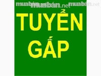 Tuyển nhân viên kế toán bán hàng Tuyển nhân viên kế toán bán hàng