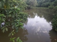 Bán gấp 19.440m2 đất, tại Thôn Bùi Trám, Hòa Sơn, Lương Sơn, HB. Bán gấp 19.440m2 đất, tại Thôn Bùi Trám, Hòa Sơn, Lương Sơn, HB.