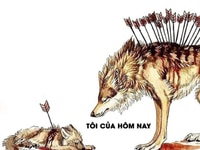 Bán đất Nam Hoà Xuân B2.40 điện âm hướng Tây Bắc vị trí đẹp Bán đất Nam Hoà Xuân B2.40 điện âm hướng Tây Bắc vị trí đẹp