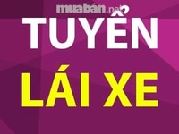Tuyển Lái Xe Lơ Xe Bốc Xếp Kho Lương 600K Một Ngày Tuyển Lái Xe Lơ Xe Bốc Xếp Kho Lương 600K Một Ngày