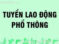 Tuyển gấp 2 nhân viên bán hàng Tuyển gấp 2 nhân viên bán hàng