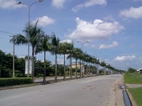 Đất khu công nghiệp minh hưng hàn quốc sổ hồng sẵn cầm tay Đất khu công nghiệp minh hưng hàn quốc sổ hồng sẵn cầm tay