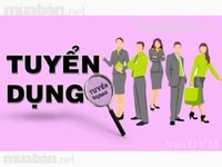 Công ty cần tuyển gấp nam nữ nhân viên văn phòng hành chính nhân sự Công ty cần tuyển gấp nam nữ nhân viên văn phòng hành chính nhân sự