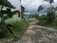 Cần tiền bán 326m đường xe tải Bình Chánh sổ riêng ,gần QL 1A Cần tiền bán 326m đường xe tải Bình Chánh sổ riêng ,gần QL 1A