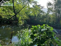 Bán gấp lô đất 2400m2 đất, tại xã Yên Bài, Ba Vì, Hà Nội Bán gấp lô đất 2400m2 đất, tại xã Yên Bài, Ba Vì, Hà Nội