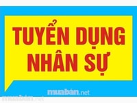 Nhân viên tư vấn chăm sóc khách hàng giọng nói dễ nghe Nhân viên tư vấn chăm sóc khách hàng giọng nói dễ nghe