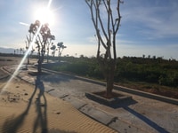Bán đất nền đường Lý Thường Kiệt trung tâm TP Đồng Hới giá chỉ từ 17tr Bán đất nền đường Lý Thường Kiệt trung tâm TP Đồng Hới giá chỉ từ 17tr