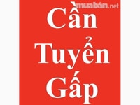 Cần tuyển nhân viên phụ bán hàng tại chi nhánh . Cần tuyển nhân viên phụ bán hàng tại chi nhánh .