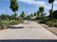 Bán đất đấu giá TX Sơn Tây mặt tiền 8m cực đẹp, 1 tỷ Bán đất đấu giá TX Sơn Tây mặt tiền 8m cực đẹp, 1 tỷ