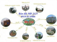 Bán đất mặt bằng 2125 phường Đông Vệ tp Thanh Hoá Bán đất mặt bằng 2125 phường Đông Vệ tp Thanh Hoá