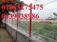 Lưới thép hàng rào sơn tĩnh điện chấn 2 sóng Lưới thép hàng rào sơn tĩnh điện chấn 2 sóng