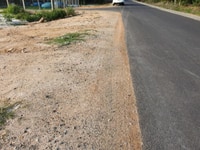 Cần vốn bán lô đất hai mặt tiền Trần Quang Diệu, Tân Phước, La Gi Cần vốn bán lô đất hai mặt tiền Trần Quang Diệu, Tân Phước, La Gi