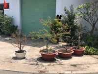 Bán nhà gấp Nguyễn Minh Đường, Tân An, 81 m2 Bán nhà gấp Nguyễn Minh Đường, Tân An, 81 m2