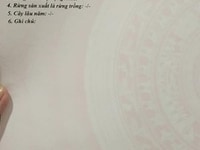Bán đất chính chủ Vĩnh Cửu Đồng Nai Bán đất chính chủ Vĩnh Cửu Đồng Nai