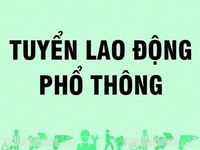 Tuyển gấp nhân viên lao động phổ thông Tuyển gấp nhân viên lao động phổ thông