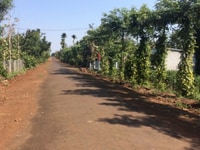 Bán 5 lô đất nhà thôn 4 Hòa xuân , BMT Bán 5 lô đất nhà thôn 4 Hòa xuân , BMT