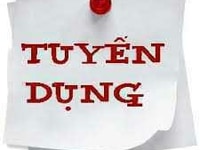 Cần lắm nhân viên làm chung cho vui Cần lắm nhân viên làm chung cho vui