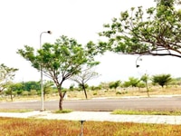 Cần bán đất MT Song Hành, phường 10, Quận 6, gần THPT Bình Phú. SHR Cần bán đất MT Song Hành, phường 10, Quận 6, gần THPT Bình Phú. SHR