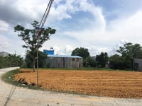 Đất thổ cư 1000% tại Đức Hòa, full sổ hồng, giá 500tr Đất thổ cư 1000% tại Đức Hòa, full sổ hồng, giá 500tr