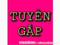 Cần tuyển gấp 02 Nhân Viên Văn Phòng làm việc tại vị trí tư vấn. Cần tuyển gấp 02 Nhân Viên Văn Phòng làm việc tại vị trí tư vấn.