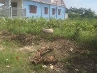 Đất nền gần khu công nghiệp long hậu gần cầu vượt số 3 xã nhị thành Đất nền gần khu công nghiệp long hậu gần cầu vượt số 3 xã nhị thành