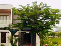 Tôi chính chủ bán gấp nhà Thanh Lương 8, Hoà Xuân, Cẩm Lệ Tôi chính chủ bán gấp nhà Thanh Lương 8, Hoà Xuân, Cẩm Lệ
