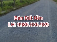 New city phố nối – thành phố đáng sống bậc nhất nhất tại hưng yên New city phố nối – thành phố đáng sống bậc nhất nhất tại hưng yên