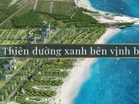Cơn sốt dự án nghĩ dưỡng Thanh Long Bay-Mũ cây gà Phan Thiết Cơn sốt dự án nghĩ dưỡng Thanh Long Bay-Mũ cây gà Phan Thiết