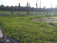 CHÚ TUYỀN SANG GẤP 315M2, CÓ 180M2 ĐẤT THỔ CƯ CHÚ TUYỀN SANG GẤP 315M2, CÓ 180M2 ĐẤT THỔ CƯ