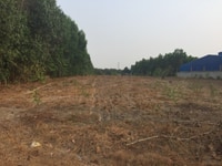 Bán 7 sào đất làm nhà vườn Long Phước, Long Thành gần Vingroup. Bán 7 sào đất làm nhà vườn Long Phước, Long Thành gần Vingroup.