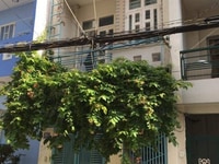 Cần bán nhà hẻm 6m đường số 1 Lý Phục Man, Quận 7, DT 4x10m, 2 tầng. Cần bán nhà hẻm 6m đường số 1 Lý Phục Man, Quận 7, DT 4x10m, 2 tầng.