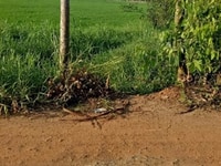 Bán đất 6.000m2 Đất BÌnh Chánh giá rẻ Bán đất 6.000m2 Đất BÌnh Chánh giá rẻ