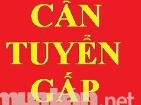 Tuyển nhân viên lao động phổ thông Tuyển nhân viên lao động phổ thông