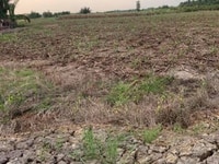 Đất Phú Đông - Nhơn Trạch Vừa Ra Lò Giá Rẻ 1000m2 Đất Phú Đông - Nhơn Trạch Vừa Ra Lò Giá Rẻ 1000m2