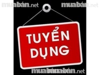 Cần gấp nam /nữ thu ngân tại quầy Cần gấp nam /nữ thu ngân tại quầy