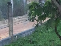 Bạn hay tin gì chưa ? đất Bảo lộc thổ cư 100% chỉ 4tr/m ,hãy LH tui Bạn hay tin gì chưa ? đất Bảo lộc thổ cư 100% chỉ 4tr/m ,hãy LH tui
