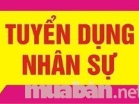 Tuyển gấp Nhân viên lễ tân cho văn phòng gấp Tuyển gấp Nhân viên lễ tân cho văn phòng gấp