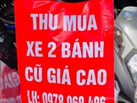 Mua tất cả các loại xe đã qua sử dụng Mua tất cả các loại xe đã qua sử dụng