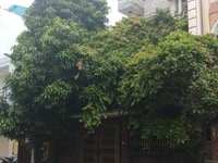 Biệt thư mặt tiền đường Trần Hưng Đạo, 10x20 3 lầu giá 50tr Biệt thư mặt tiền đường Trần Hưng Đạo, 10x20 3 lầu giá 50tr