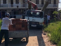 Bán nhanh căn nhà 1 trệt+1 lầu, DT: 3,9X13,5m, giá: 1tỷ150tr, (SHR) Bán nhanh căn nhà 1 trệt+1 lầu, DT: 3,9X13,5m, giá: 1tỷ150tr, (SHR)