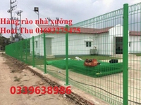 Hàng rào sơn tĩnh điện, hàng rào lưới thép bọc nhựa Hàng rào sơn tĩnh điện, hàng rào lưới thép bọc nhựa