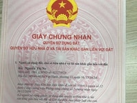 Bán đất huyện Bình Chánh TP HCM DT:256m2 giá:21,76 tỷ Bán đất huyện Bình Chánh TP HCM DT:256m2 giá:21,76 tỷ