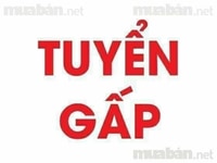 Cần tuyển gấp nhân viên văn phòng làm việc tại chi nhánh Cần tuyển gấp nhân viên văn phòng làm việc tại chi nhánh