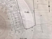 4500m2 đất đang trồng Măng Tây - P.Văn Hải - TP Phan Rang 4500m2 đất đang trồng Măng Tây - P.Văn Hải - TP Phan Rang