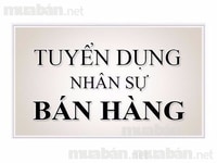 Cần tuyển gấp nhân viên phụ bán hàng cho cửa hàng mini không cần kinh Cần tuyển gấp nhân viên phụ bán hàng cho cửa hàng mini không cần kinh